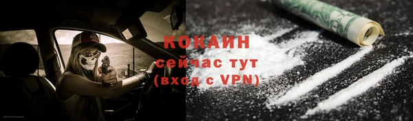 гашик Арсеньев