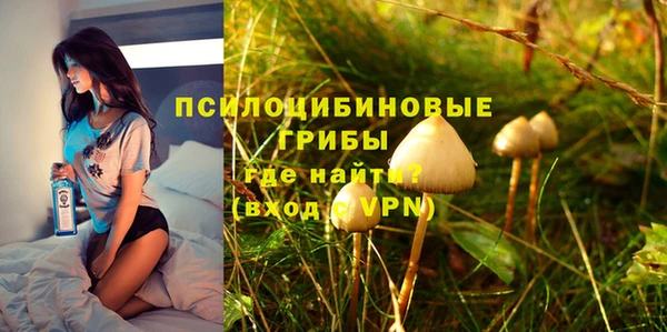 тгк Аркадак
