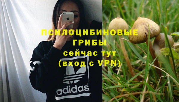 не бодяженный Сатка