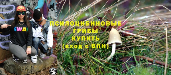 тгк Аркадак