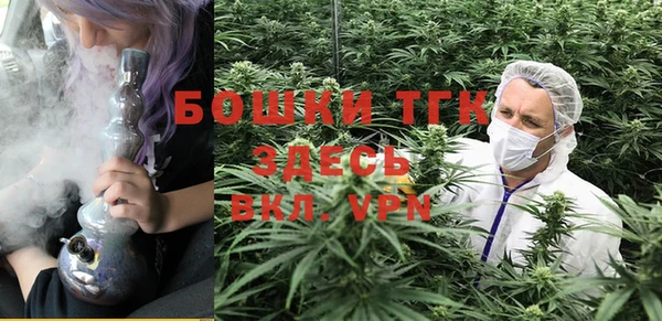 тгк Аркадак