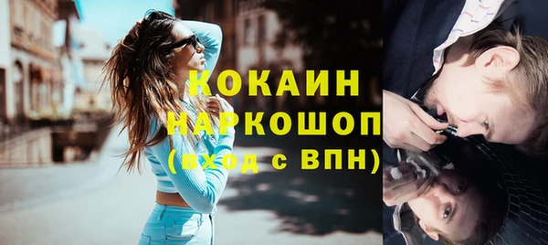 гашик Арсеньев