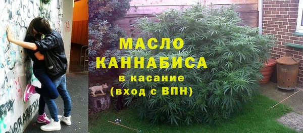 гашик Арсеньев